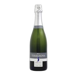 ESPUMANTE MOSCATEL TERRA NOVA 750ML