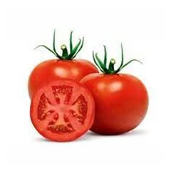 TOMATE LONGA VIDA